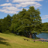 Dolgener See Badestelle 4