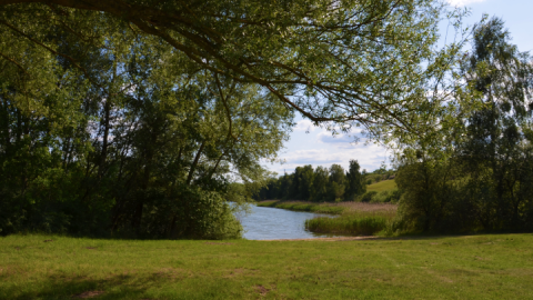 Cantnitzer See Badestelle Nordufer 4