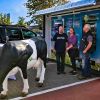 Milchautomat FAMILA Waren