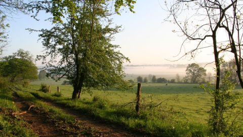 Das Klax Natur- und Umweltcamp ist der ideale Ausgangspunkt für Ausflüge in der Mecklenburgischen Schweiz