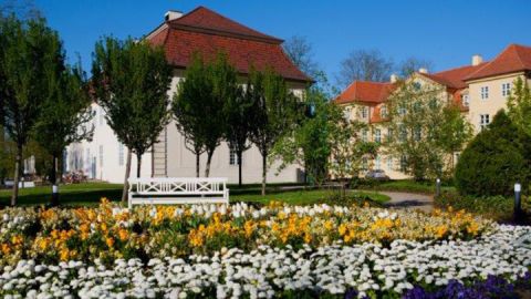 3 Königinnen Palais Mirow