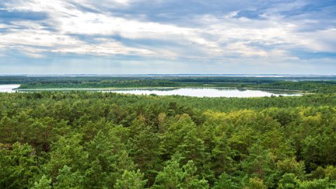 Weite Sicht vom Käflingsbergturm