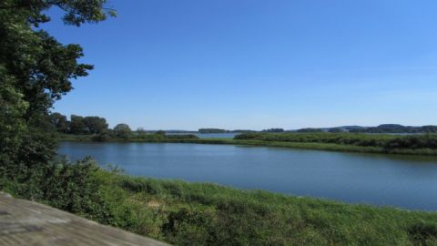 blick-vom-naturbeobachtungsturm