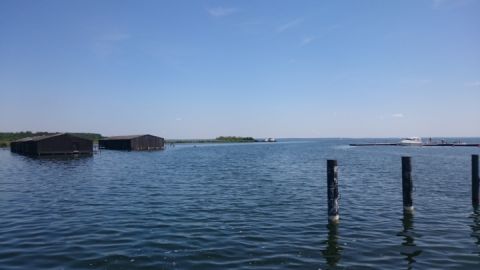 Müritzblick vom Sietower Hafen