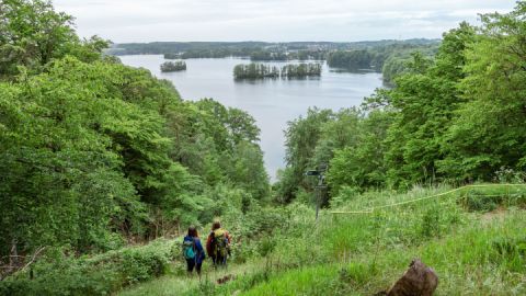 Wandern auf dem Naturparkweg am Aussichtspunkt Reiherberg