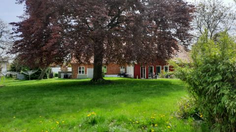 Hotelpension Altes Pfarrhaus - Garten