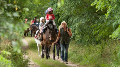 Urlaub auf dem Land mit Ponyführungen 