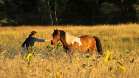 Landurlaub Diemitz_Reiturlaub