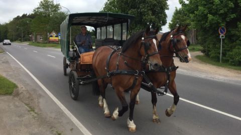 Ferienhof Mirow_Kutschfahrten