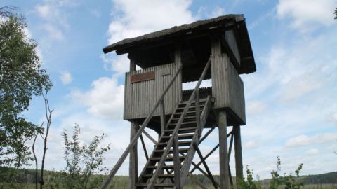 Aussichtsturm Großer Serrahnsee