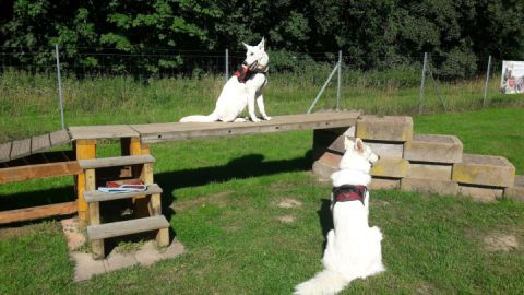 Hundespielplatz Dat Waldhus