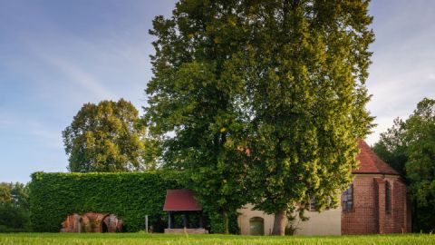 Zisterzienser Klosterruine Himmelpfort