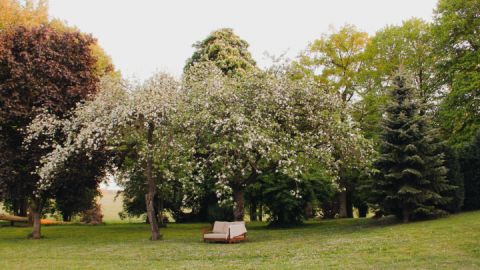 Gutshaus Gevezin - Park