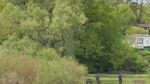 Hundebadestrand Heidenholz 2 