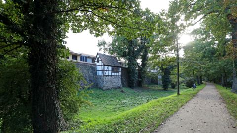 Mittelalterliche Wall- und Wehranlage Neubrandenburg_4