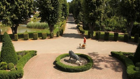 Blick vom Gutshaus in die Allee, Gutshof Sparow