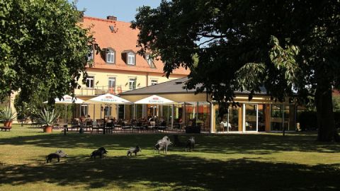 Terrasse & Gutshaus, Gutshof Sparow