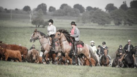 Wie die Cowboys im Wilden Westen unterwegs sein- auf dem FerienGut Dalwitz.