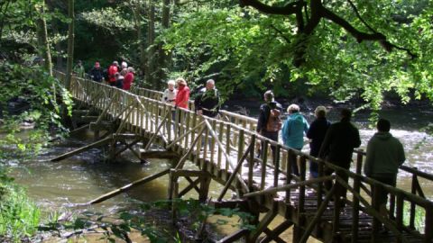 Wandern im Warnowtal