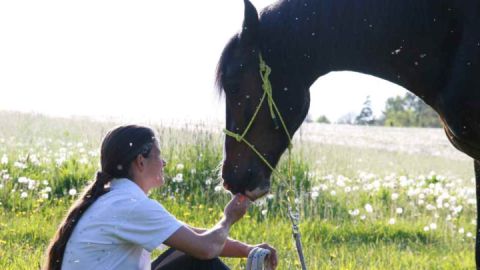 1_Umgang mit dem Pferd