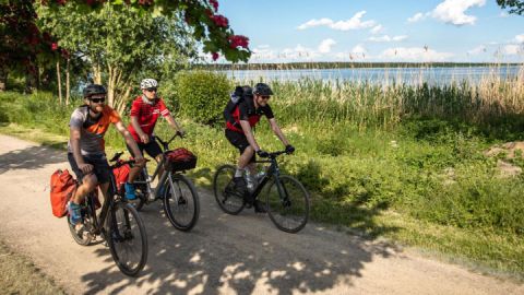 Mit dem E-Bike unterwegs auf dem Müritz-Rundweg